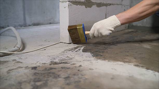 24/7 Emergency Waterproofing experts in Five Points, NC